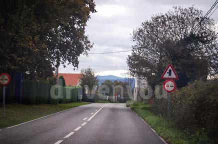 Fotografía de la pregunta 13