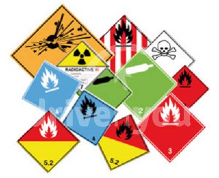 Fotografía de la pregunta 5