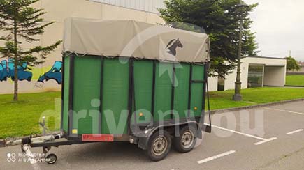 Fotografía de la pregunta 19