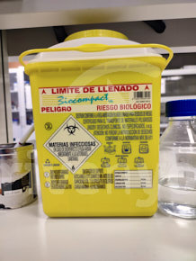 Fotografía de la pregunta 11