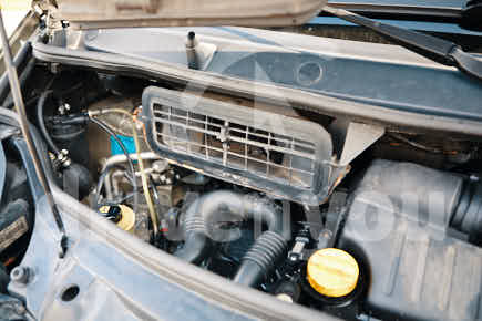 Fotografía de la pregunta 19