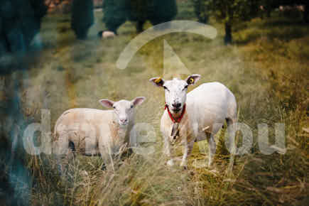 Fotografía de la pregunta 16