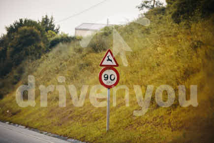 Fotografía de la pregunta 4