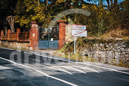 Fotografía de la pregunta 13